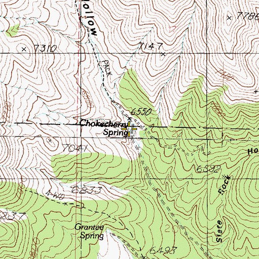 Topographic Map of Chokecherry Spring, UT