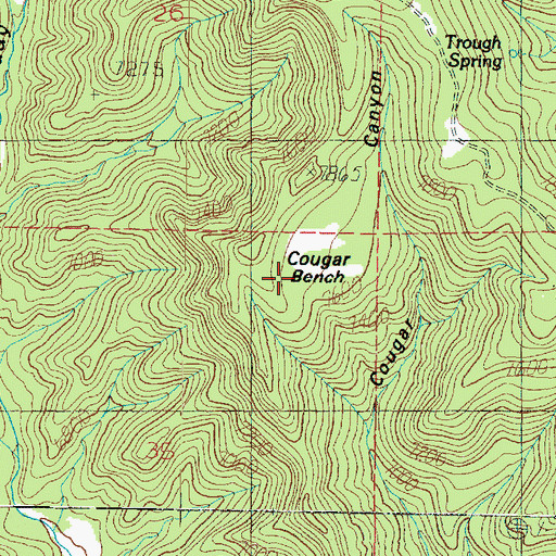 Topographic Map of Cougar Bench, UT