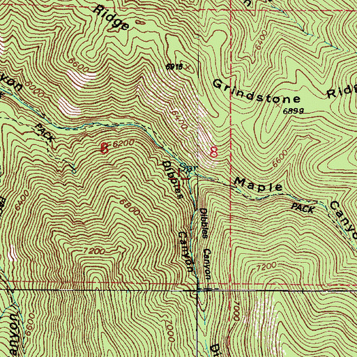 Topographic Map of Dibbles Canyon, UT