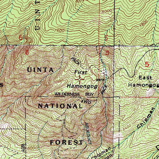 Topographic Map of First Hamongog, UT