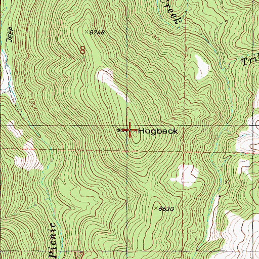 Topographic Map of Hogback, UT