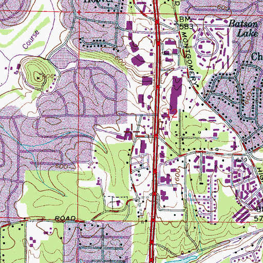 Topographic Map of Green Valley Elementary School, AL