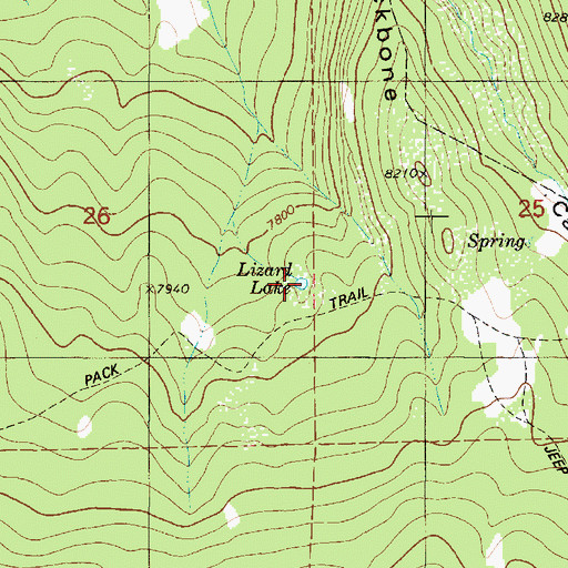 Topographic Map of Lizard Lake, UT