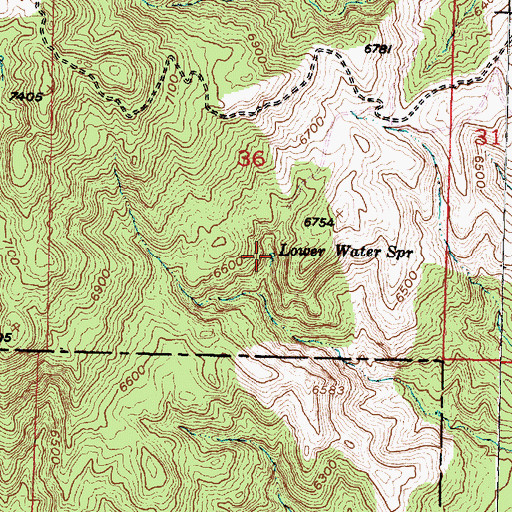 Topographic Map of Lower Water Spring, UT