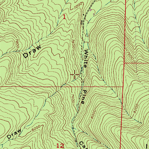 Topographic Map of McDonald Draw, UT