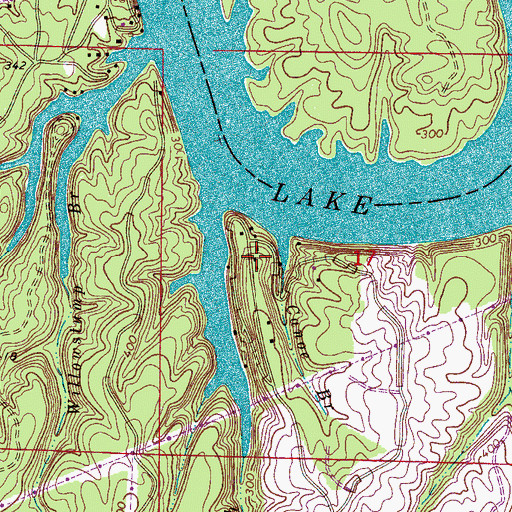 Topographic Map of Light House Camp, AL