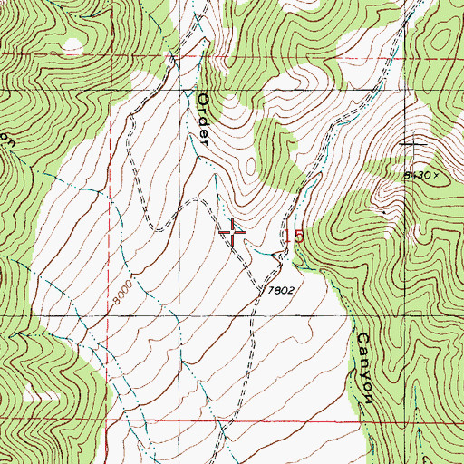 Topographic Map of Order Canyon, UT