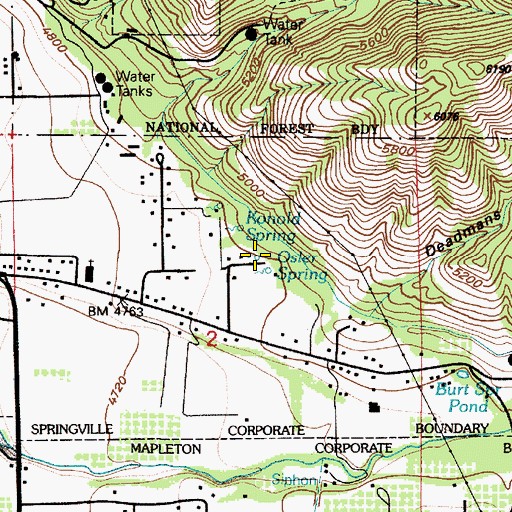 Topographic Map of Osler Spring, UT