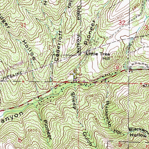 Topographic Map of Pioneer Fork, UT
