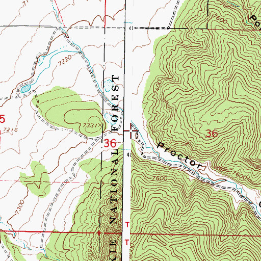Topographic Map of Proctor Canyon, UT