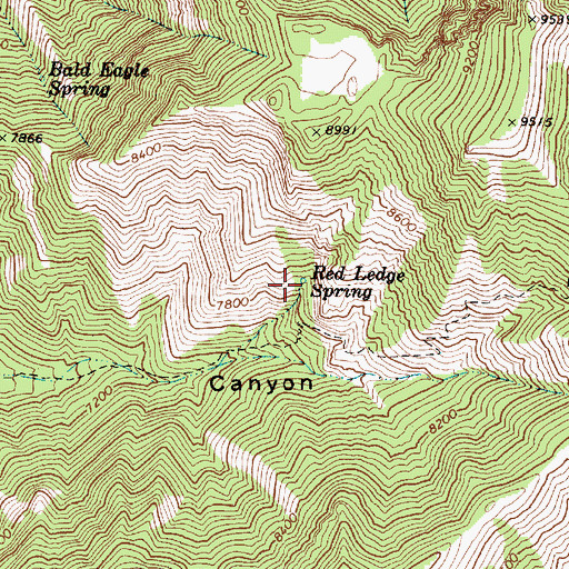 Topographic Map of Red Ledge Spring, UT
