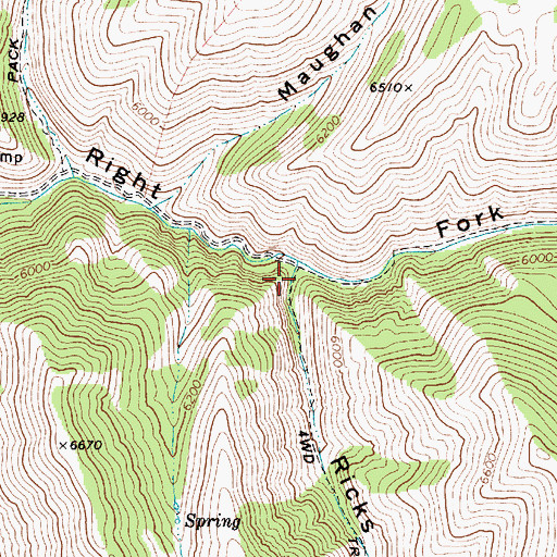 Topographic Map of Ricks Canyon, UT