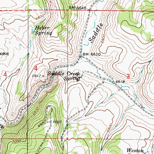 Topographic Map of Saddle Creek Spring, UT