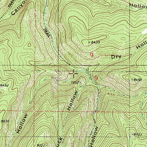 Topographic Map of Spooner Hollow, UT