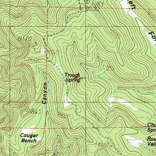 Topographic Map of Trough Spring, UT