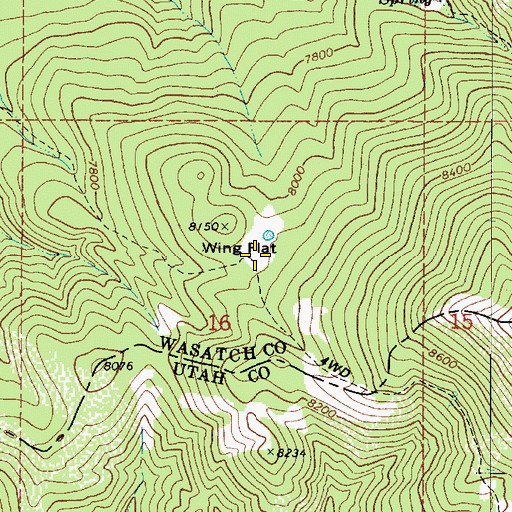 Topographic Map of Wing Flat, UT
