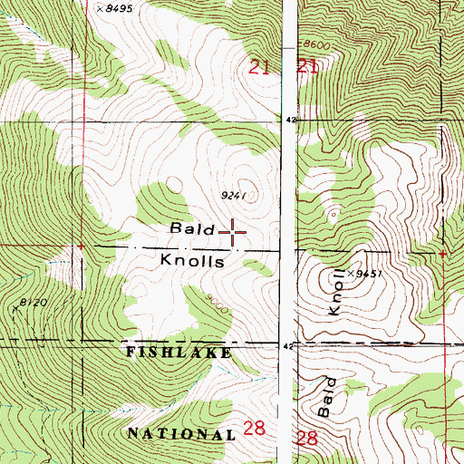 Topographic Map of Bald Knolls, UT