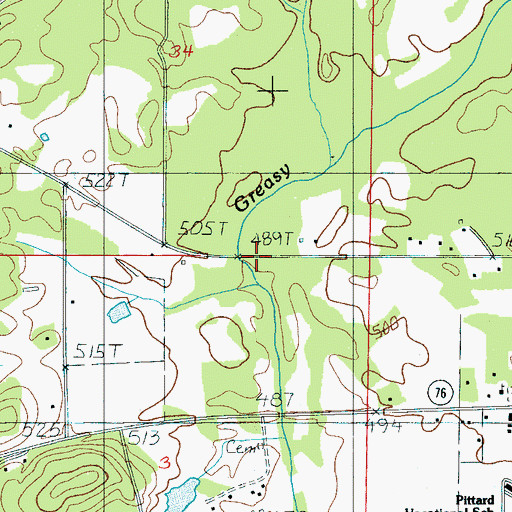 Topographic Map of Greasy Head Swamp, AL