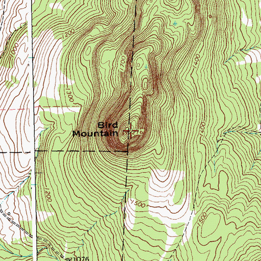 Topographic Map of Bird Mountain, VT