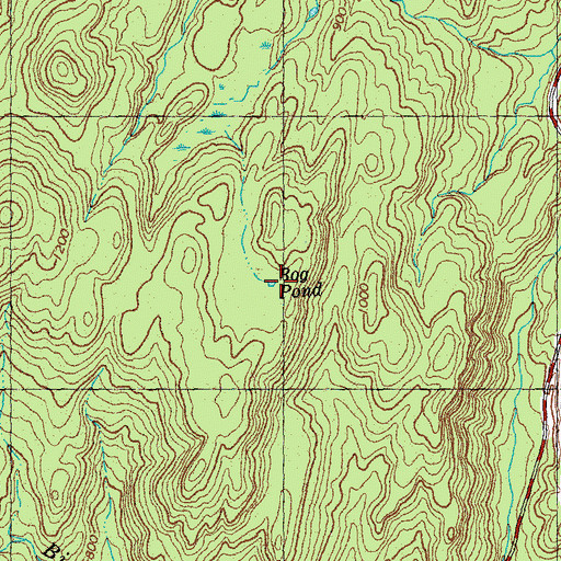 Topographic Map of Bog Pond, VT