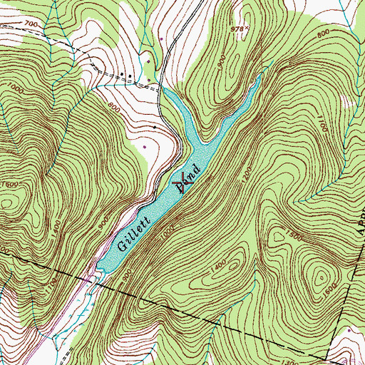 Topographic Map of Gillett Pond, VT