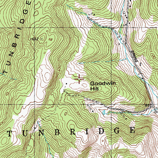 Topographic Map of Goodwin Hill, VT