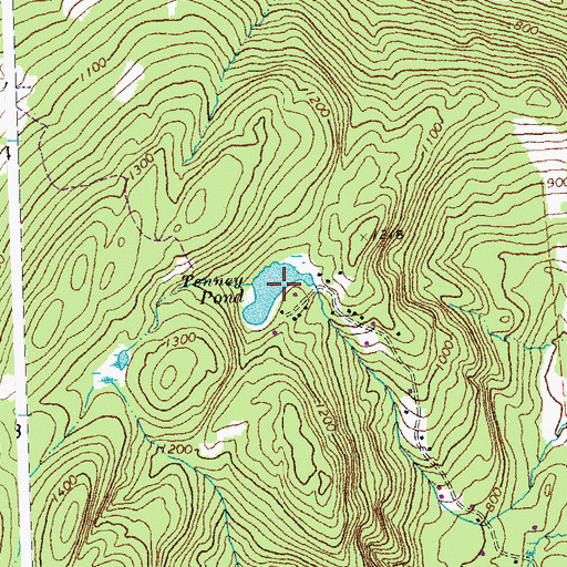 Topographic Map of Tenney Pond, VT