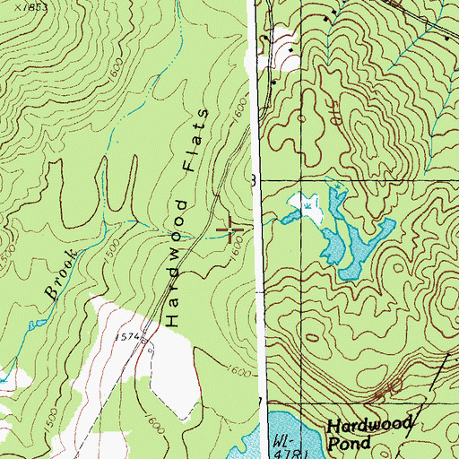 Topographic Map of Hardwood Flats, VT