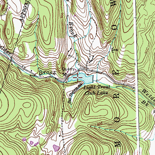 Topographic Map of Light Trout Club Lake, VT