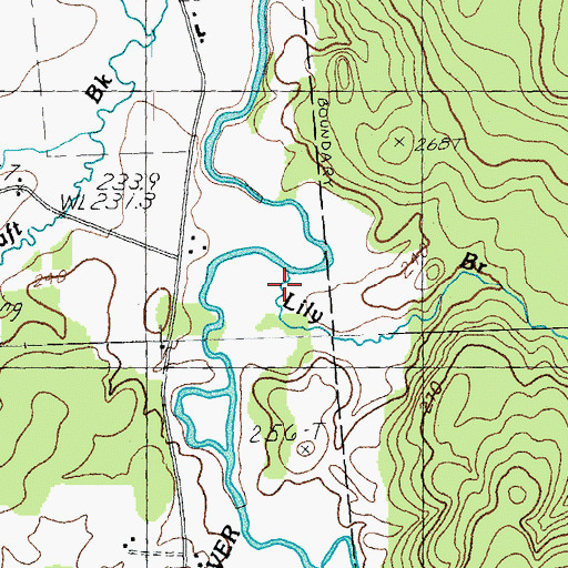 Topographic Map of Lilly Branch, VT