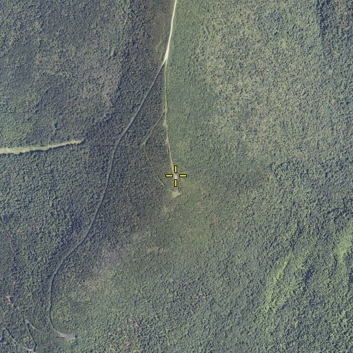 Aerial/Satellite Image of Little Equinox, VT