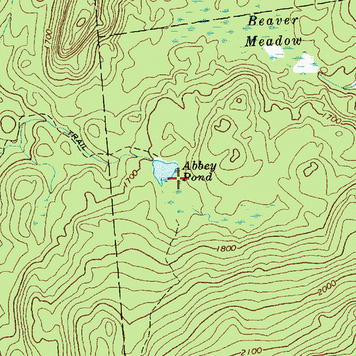 Topographic Map of Abbey Pond, VT