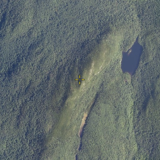 Aerial/Satellite Image of Green Mountain, VT