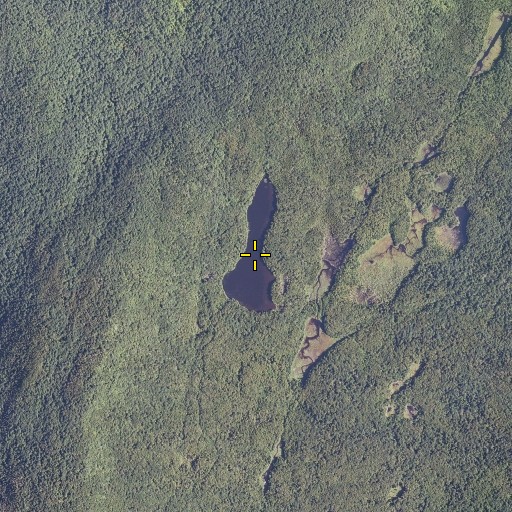 Aerial/Satellite Image of Griffith Lake, VT