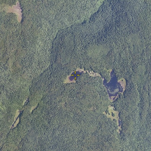 Aerial/Satellite Image of Little Mud Pond, VT