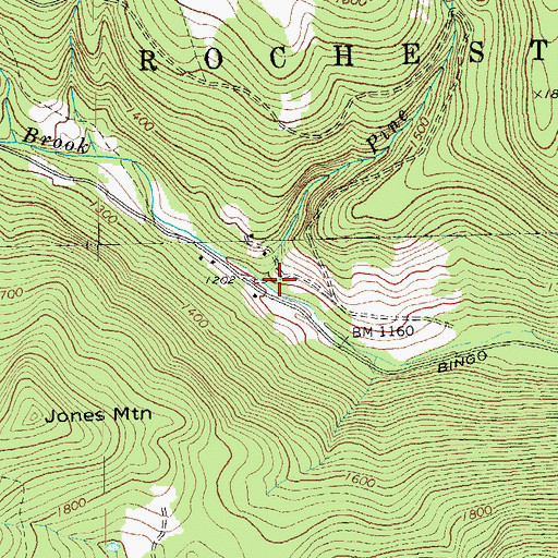Topographic Map of Pine Brook, VT