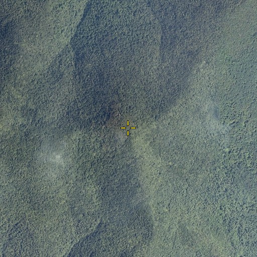 Aerial/Satellite Image of Woodlawn Mountain, VT