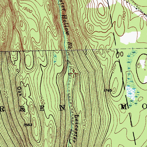 Topographic Map of Leicester Hollow Trail, VT