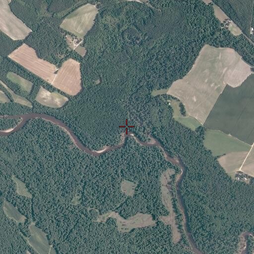 Aerial/Satellite Image of Assamoosick Swamp, VA