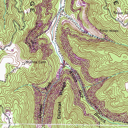 Topographic Map of Austin Gap Branch, VA