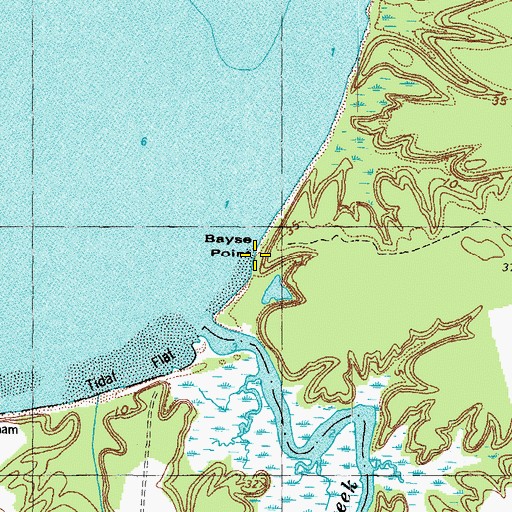 Topographic Map of Bayse Point, VA