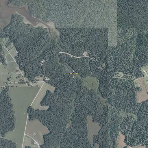 Aerial/Satellite Image of Beales Millpond, VA