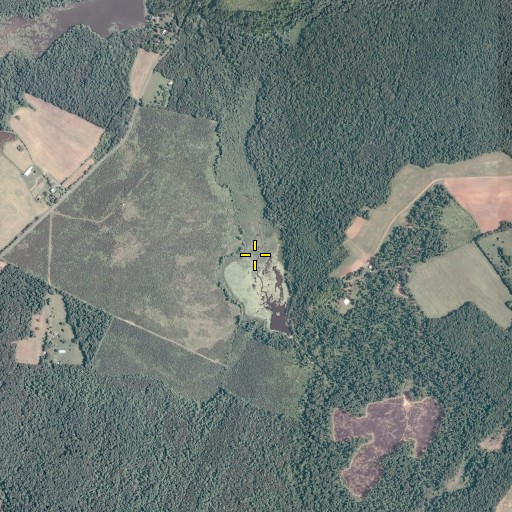 Aerial/Satellite Image of Bearden Pond, VA