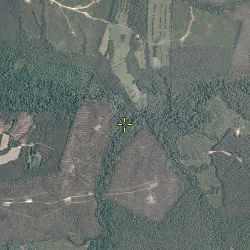 Aerial/Satellite Image of Beaver Branch, VA