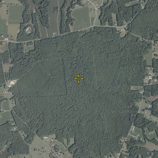 Aerial/Satellite Image of Bell Swamp, VA