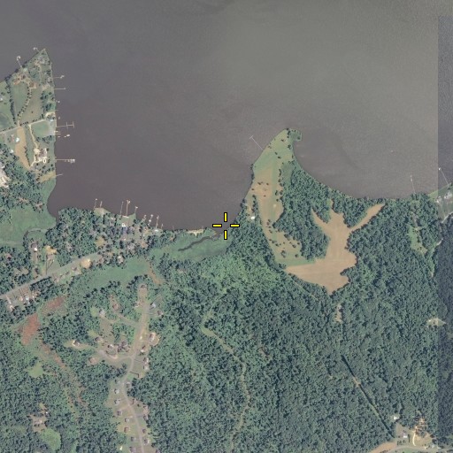 Aerial/Satellite Image of Black Swamp Branch, VA