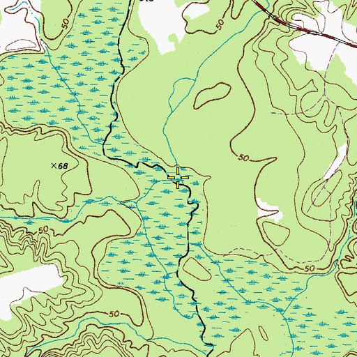 Topographic Map of Briery Swamp, VA