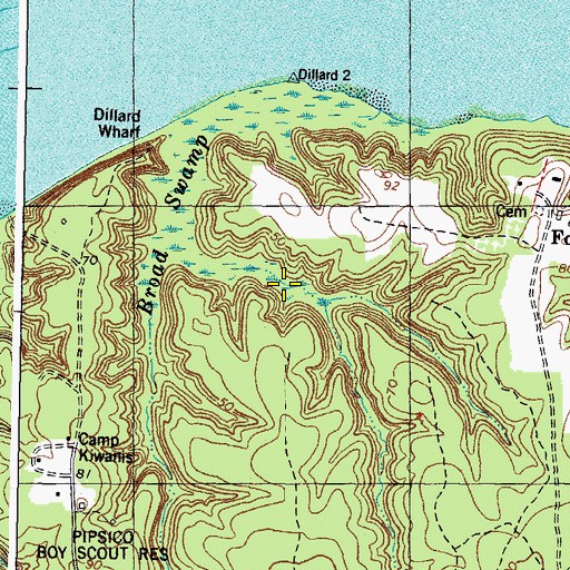 Topographic Map of Broad Swamp, VA