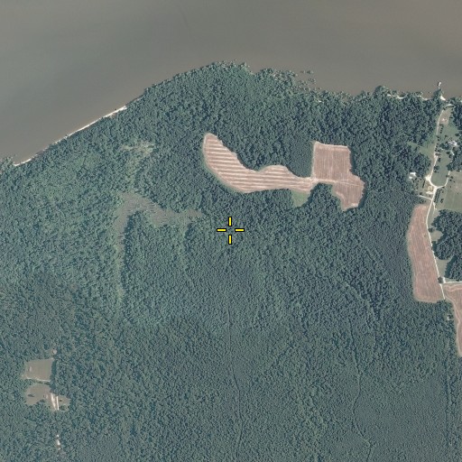 Aerial/Satellite Image of Broad Swamp, VA
