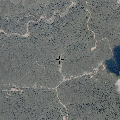 Aerial/Satellite Image of Burke Cemetery, VA